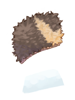 Black Bear Skin artwork from Ragnarok Online