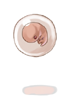 Embryo artwork from Ragnarok Online