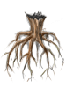 Tree Root artwork from Ragnarok Online
