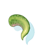 Petite's Tail artwork from Ragnarok Online