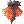 Fire Dragon's Coat