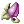 Mastela Fruit
