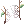 Cobweb