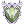 Levain Shield