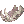 Bat Jawbone