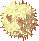 Dry Rafflesia