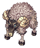 Ashen Goat