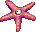 Aster
