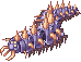 Centipede