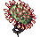 Drosera