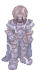 Paladin Randel