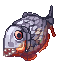 Piranha