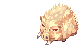 Golden Savage