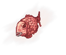 Boiled Water Piranha