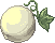 Gourd