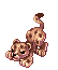 Baby Leopard
