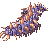 Centipede Larva