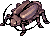 Moks Bugs