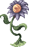 Mysterious Sunflower