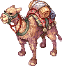 Silk Sand Camel